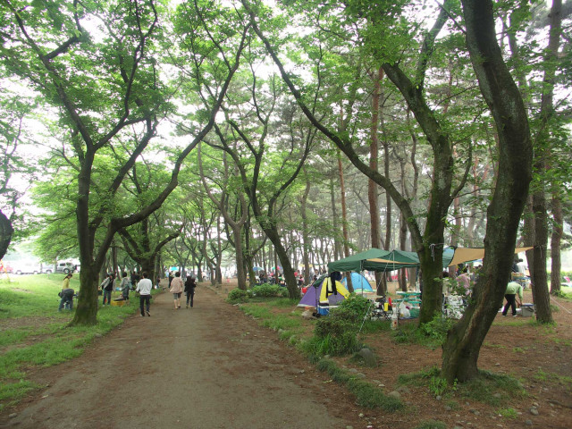上大島キャンプ場